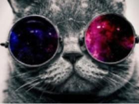 KaPr|how to find my stuff 🎆😺