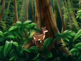 Week 2: Forest Quiz 1