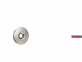 Magnet