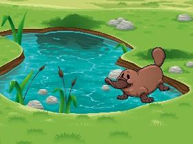 Week 6: Freshwater Quiz