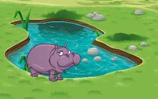 Week 6: Freshwater Quiz: hippos!