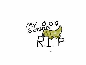 R.I.P My Old Dog Gordon  (He Died Way Before I Had This App)