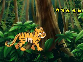 Week 2: Forest Quiz 1