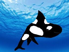 Week 6: Lake Simulator 1