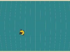 Bird Mayhem 1