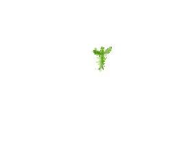 Week 4: Create a Cactus 1