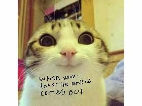 oki