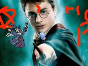 Harry Potter   1
