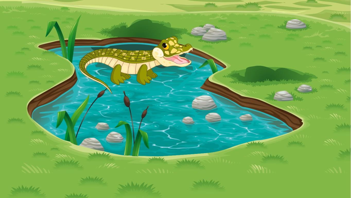 Week 6: Freshwater Quiz