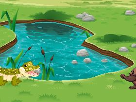 Week 6: Freshwater Quiz 1