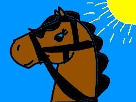 Learn To Draw a horses