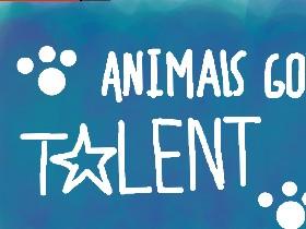 🐶Animal’s Got Talent🐶 1 1