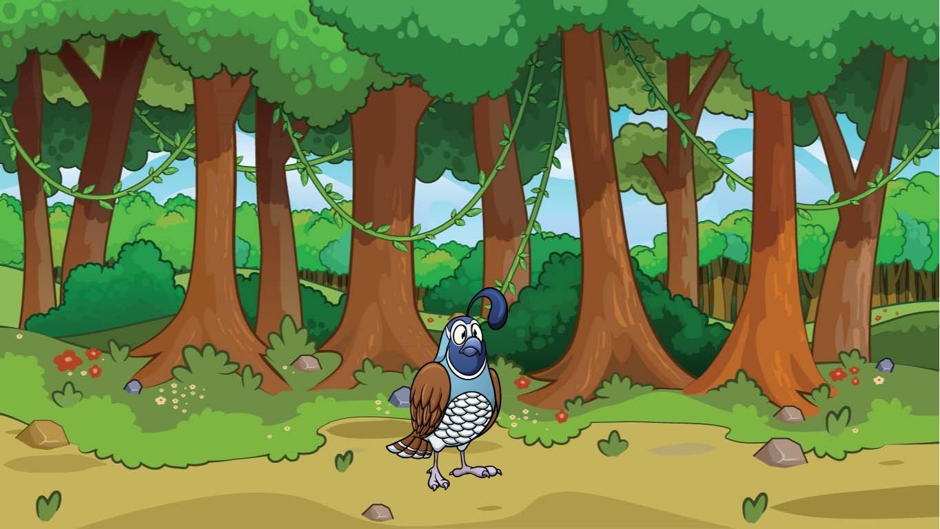 Week 2: Forest Quiz