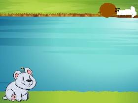 Gone fishing- Catch the Seal!