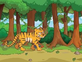 Forest Quiz
