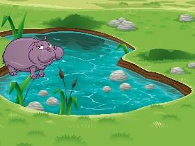 Week 6: Freshwater Quiz 1