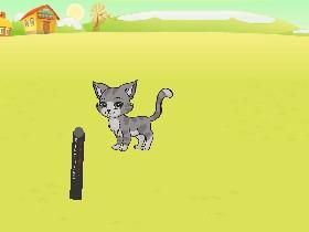 Cat lazer pointer
