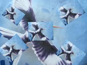 im a bird!!!