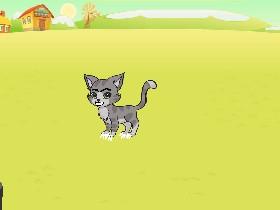 Cat Chasing Laser