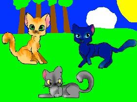 Warrior Cats!