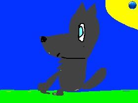 Spin Draw 1