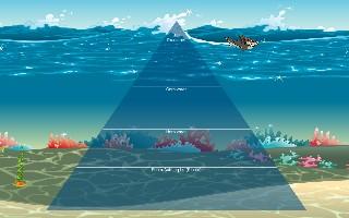 Ecological Pyramid 1