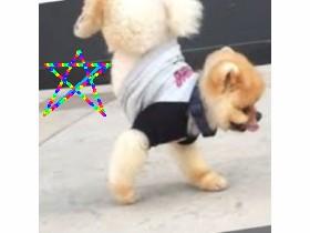 Pop Stars These Days. 1