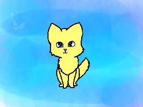 Kitten Animation