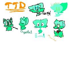 TTD in Diff Styles 1 1