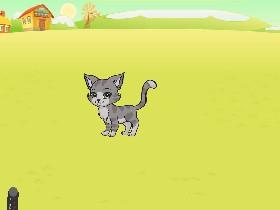 Flowerheart: Not a kittypet