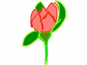how to draw a rose