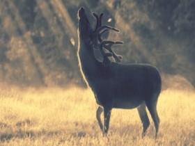 Five hours of peace......