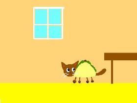 Chat with... TACO CAT!!!