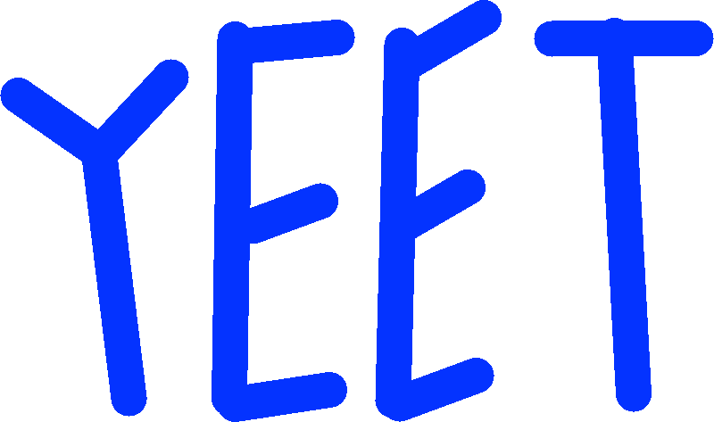 water botle flip yeet