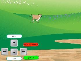 SPIDER COW