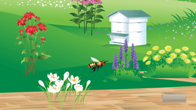 Bee Game