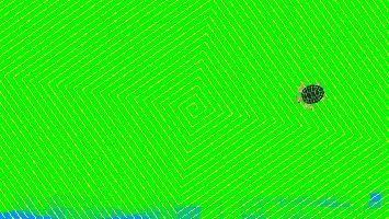 Spiral Triangles 3