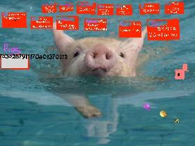 pig clicker 1