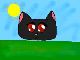 Cat Animation