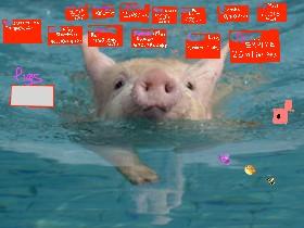 pig garbage 1000