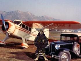 koo roo flys a plane