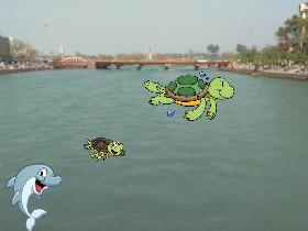 Week 6: Lake Simulator 1