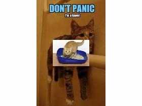 Don’t Tap this project