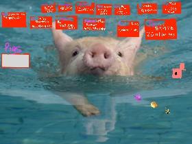 pig clicker by George
