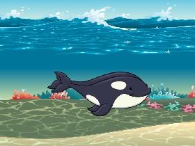 Week 3: Oceans Story 1