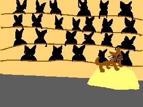 Kitty's silly show 2