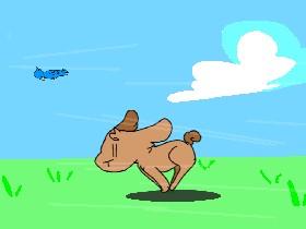Bunny Run+Animation!