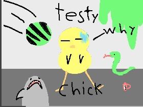testy chicky