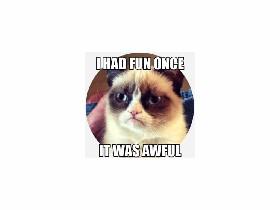 grumpy cat 3.0