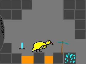 duck circle